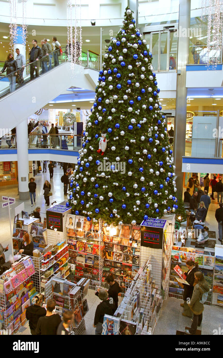 Christmas tree in shopping centre Brighton UK Stock Photo Alamy