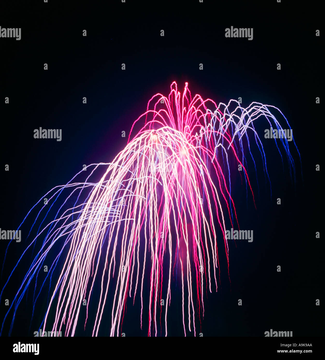 Firework Display Stock Photo