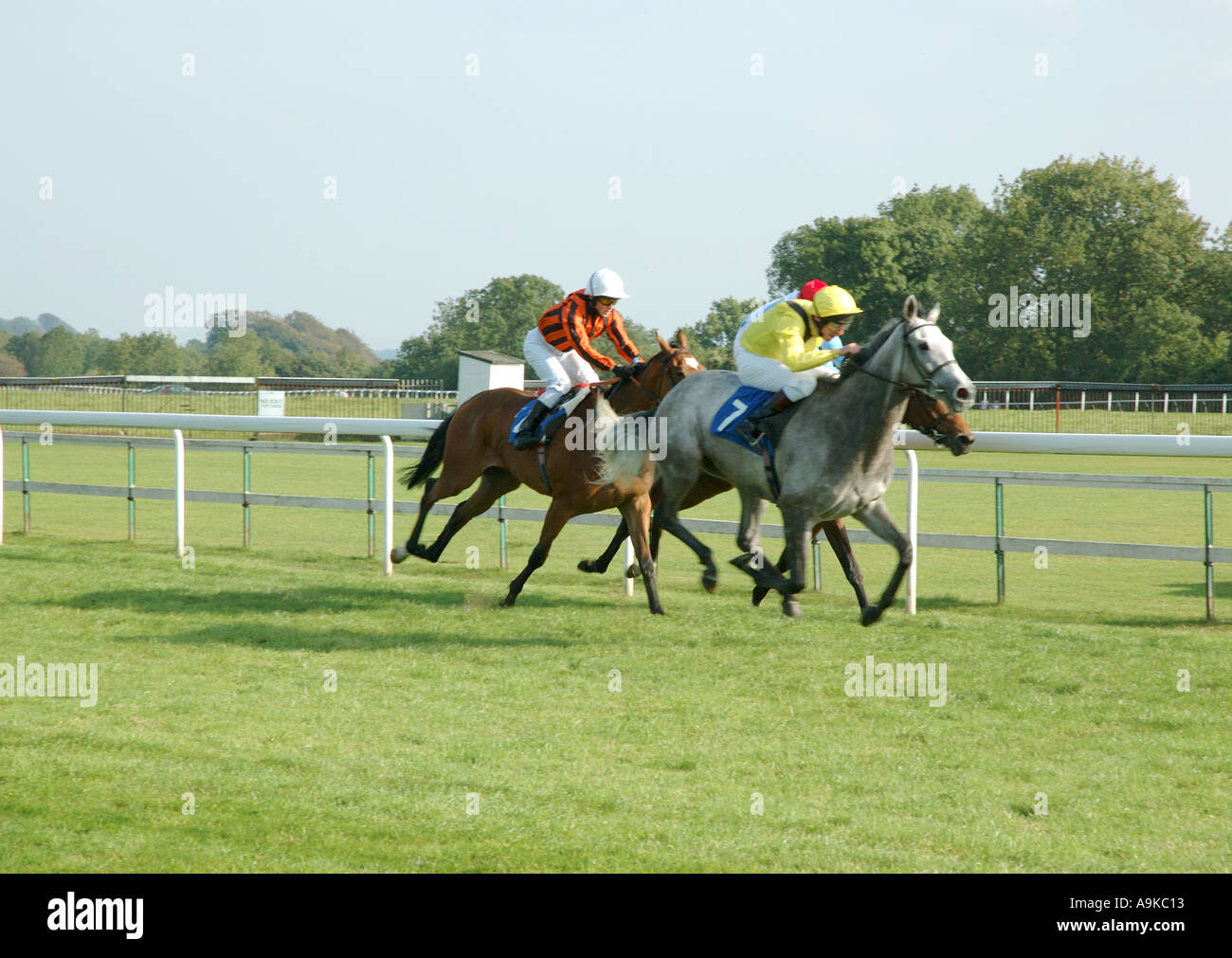 Horse race at racing meeting Stock Photo Alamy