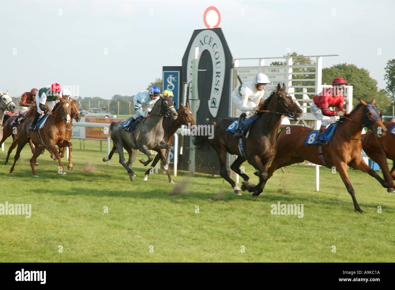 Horse race at racing meeting Stock Photo Alamy