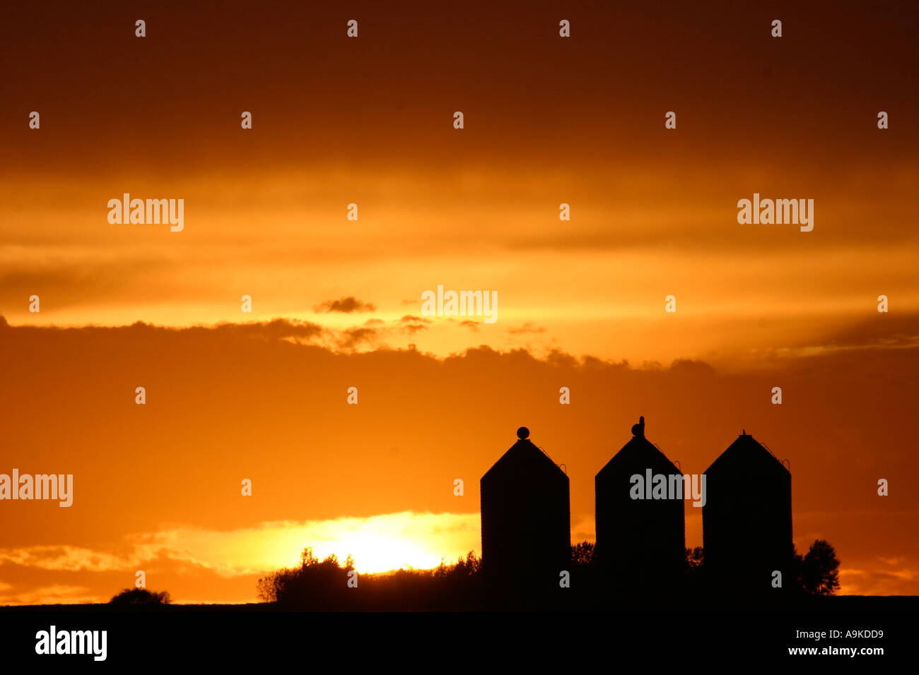 prairie sunset in scenic Saskatchewan Canada Stock Photo Alamy