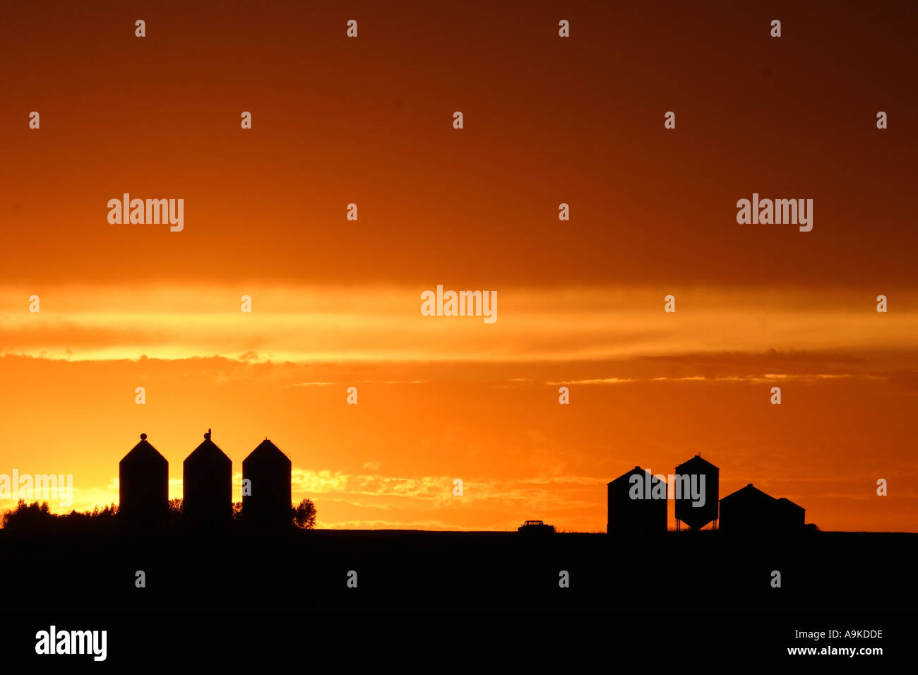 prairie sunset in scenic Saskatchewan Canada Stock Photo Alamy