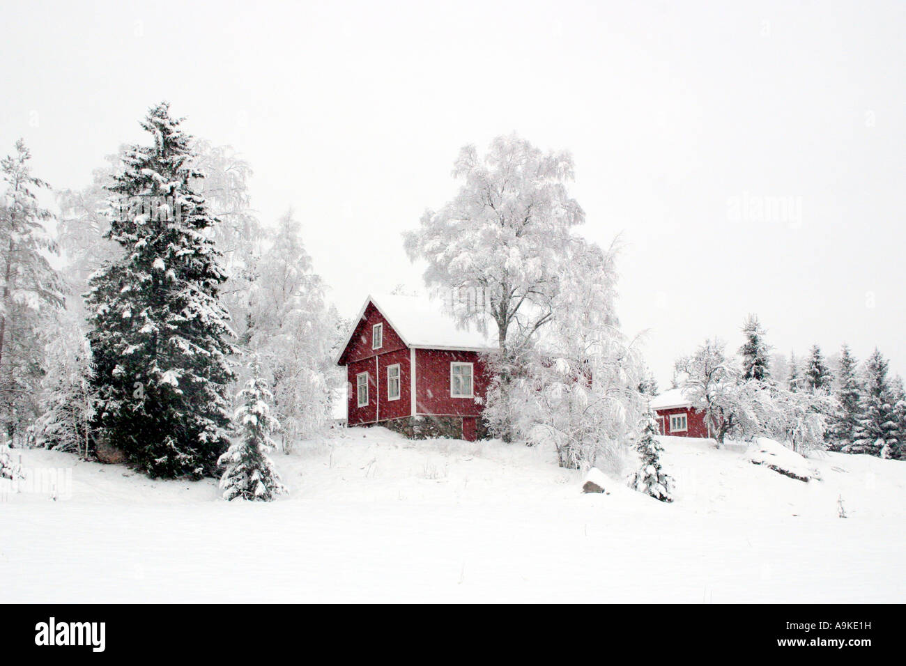 Typical Finnish house, Finland, Aurach Stock Photo - Alamy
