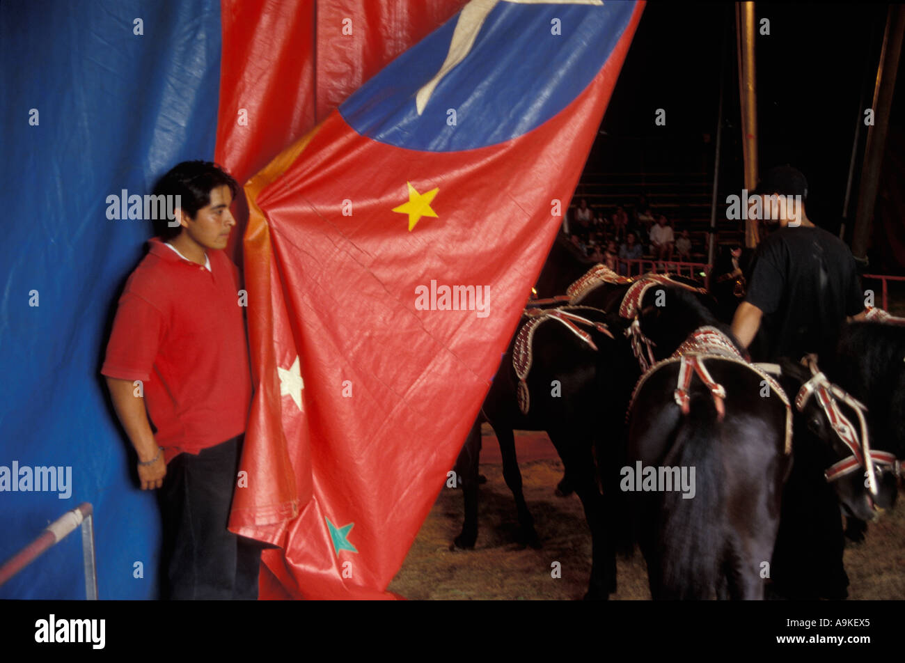 Bentley Bros. Brothers circus trainer w ponys enter big top American US United States Stock Photo