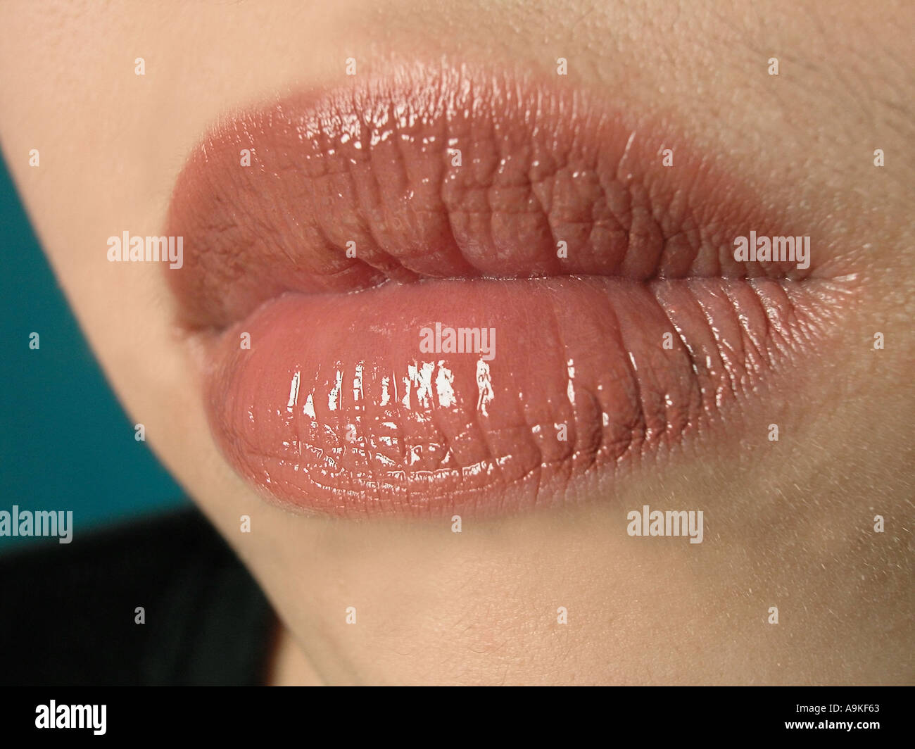 Asian Close Up Pics