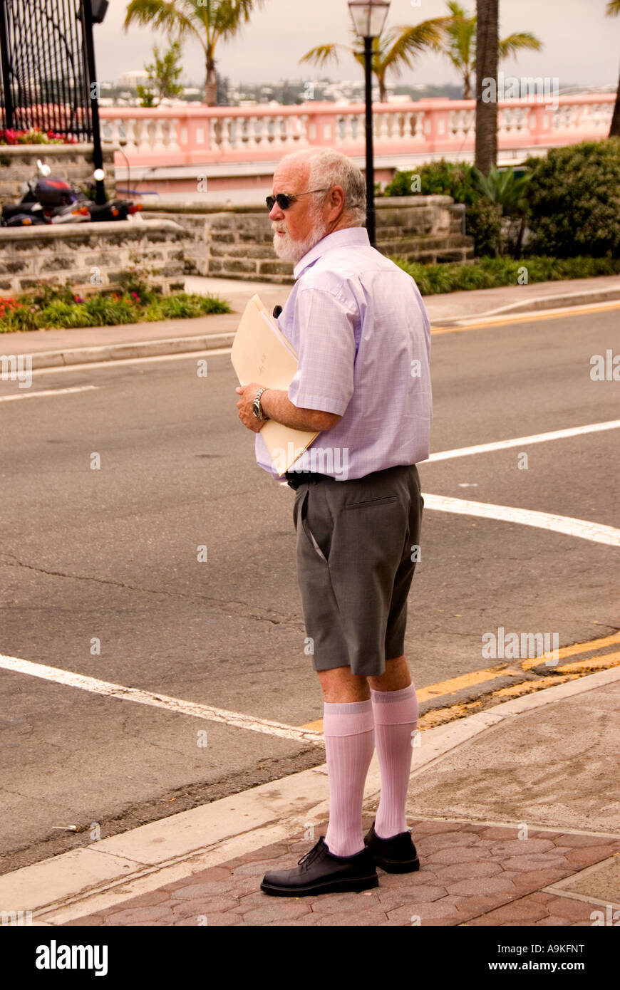 Bermuda elderly older man beard bermuda shorts crossing road Stock Photo -  Alamy