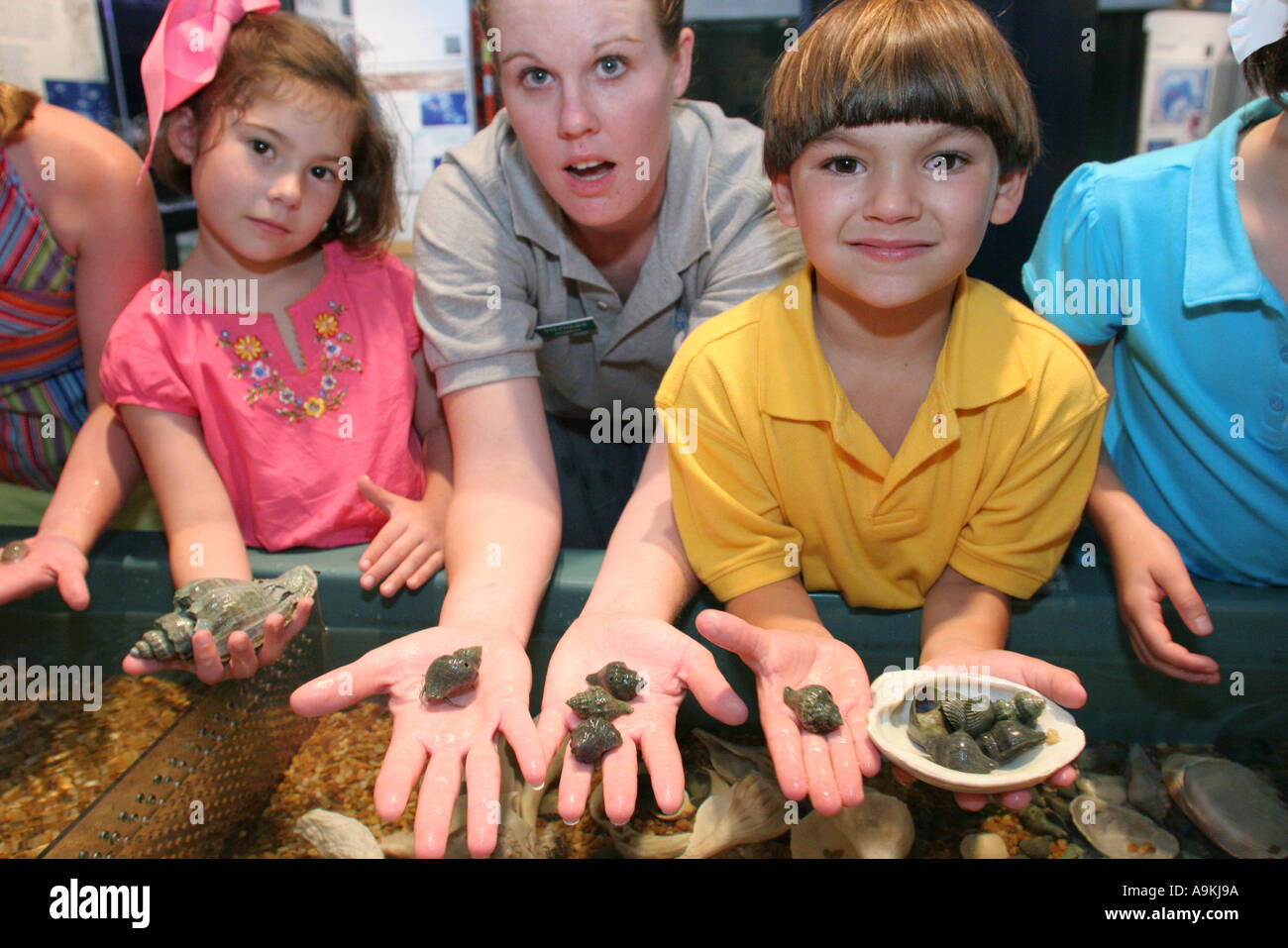 Alabama, AL, South, Dauphin Island, The Estuarium, public aquarium