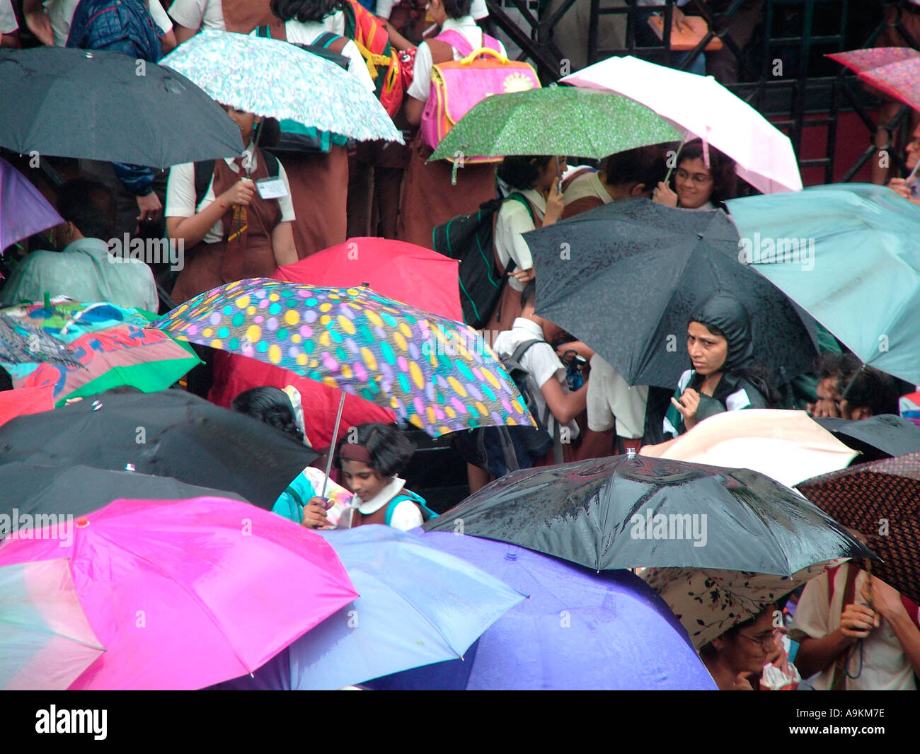 ANG98965 Rain colourful Umbrellas in school children and parents hand Stock Photo