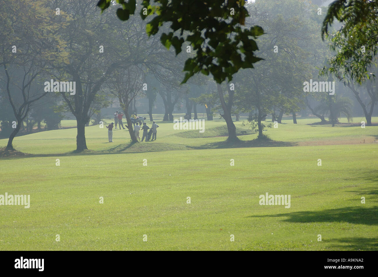 ANG99231 Golf Ground Early morning Stock Photo