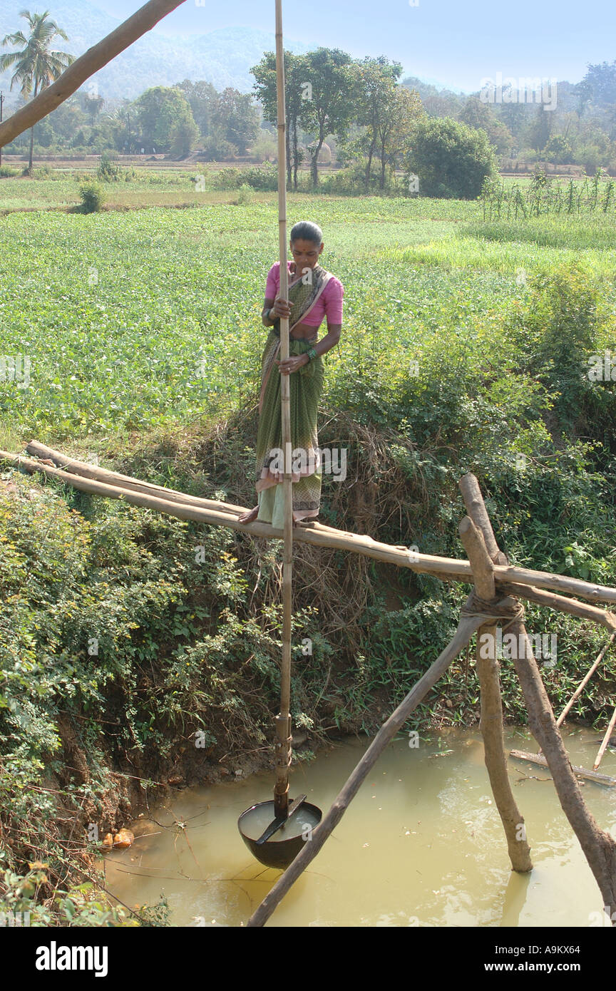 Traditional Irrigation 30-delicious-citrus-fruits-you-ve-got-to-try-love-english