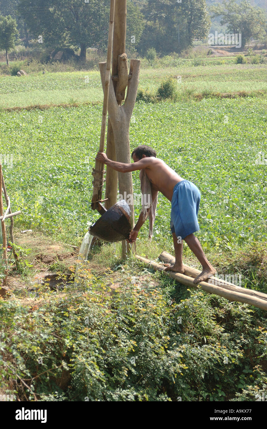 Water lift irrigation manually by farmer, Konkan, Maharashtra, India