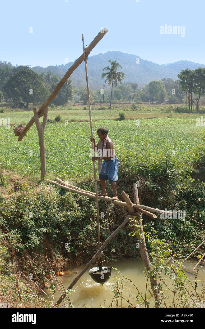 Traditional Irrigation traditional-irrigation