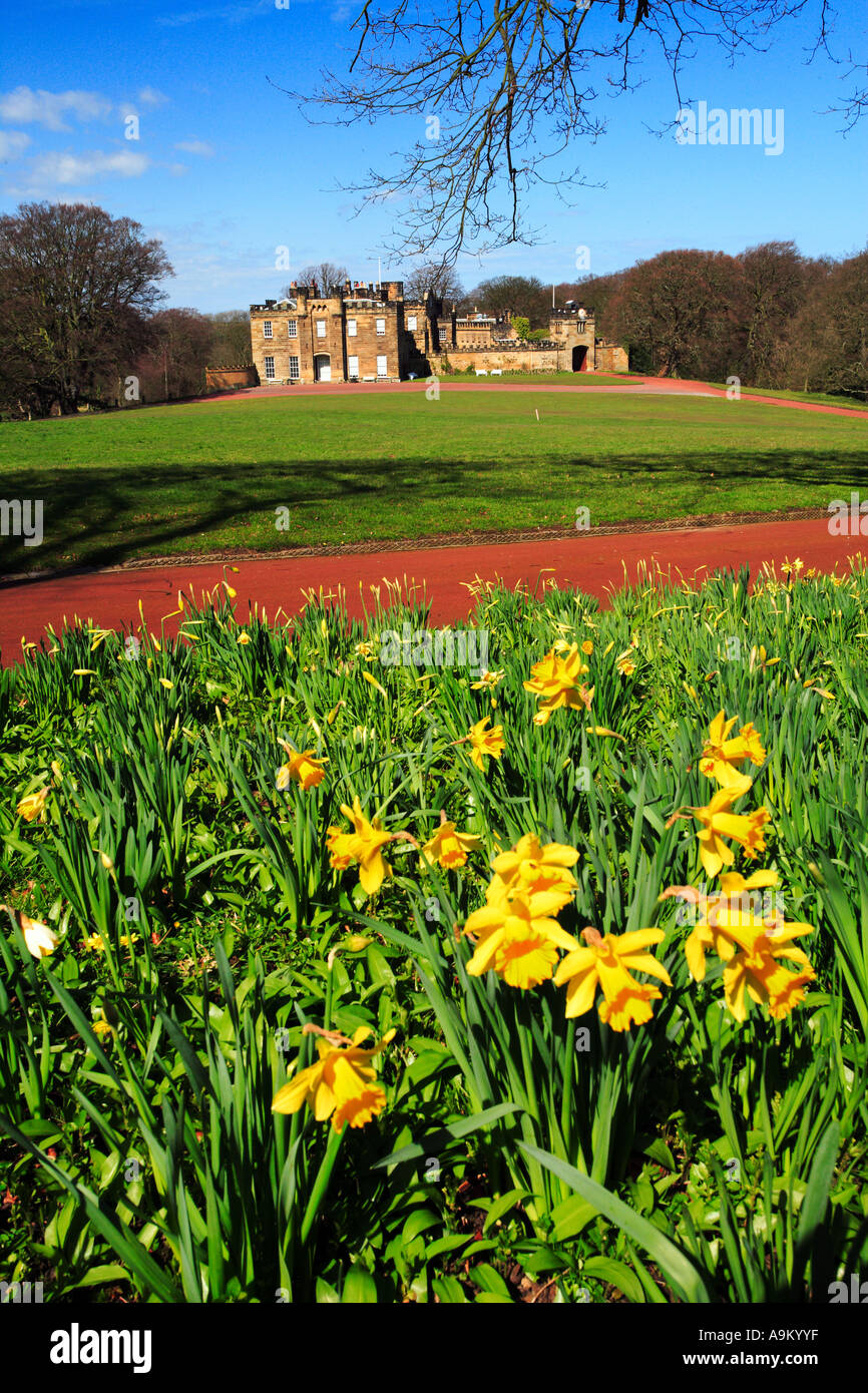 Daffodil time Skelton Castle Skelton in Cleveland Tees Valley England