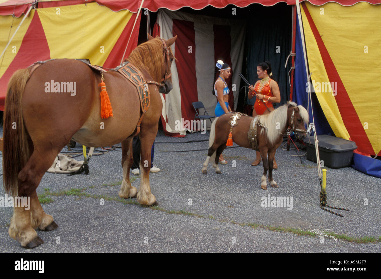 Walker Bros. Brothers Circus Stock Photo Alamy