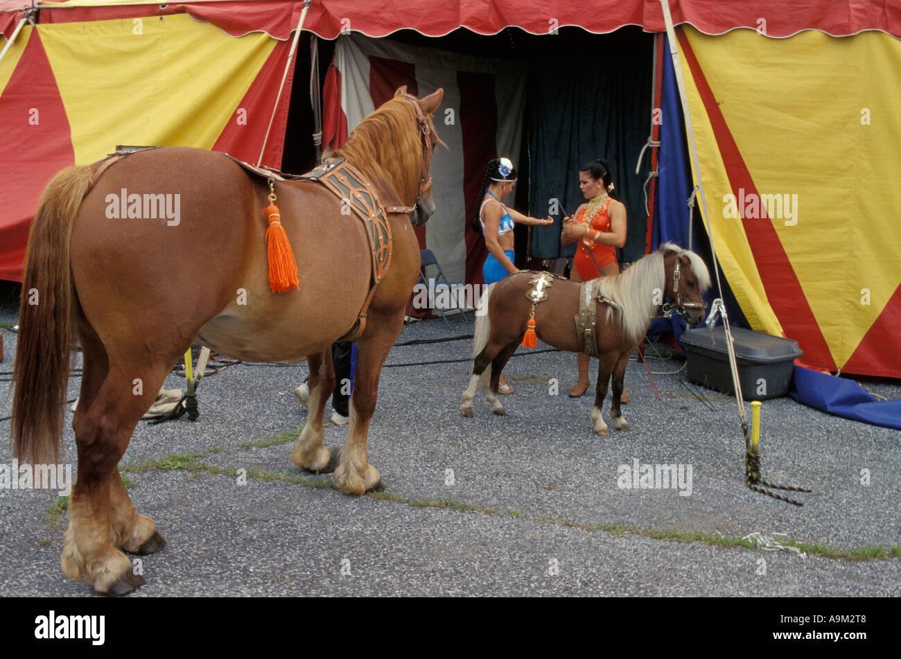 Walker Bros. Brothers Circus Stock Photo Alamy