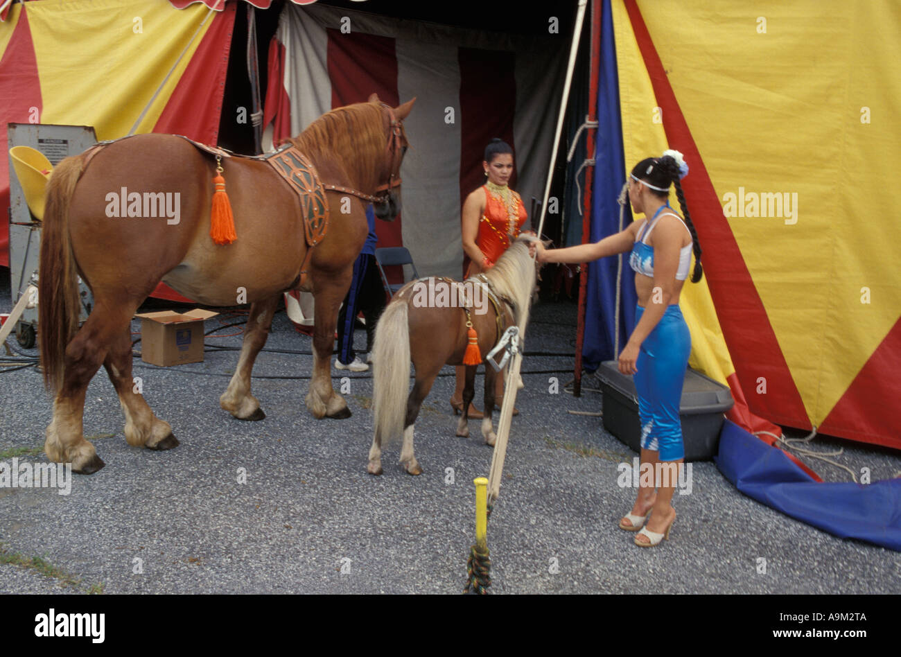 Walker Bros. Brothers Circus Stock Photo Alamy