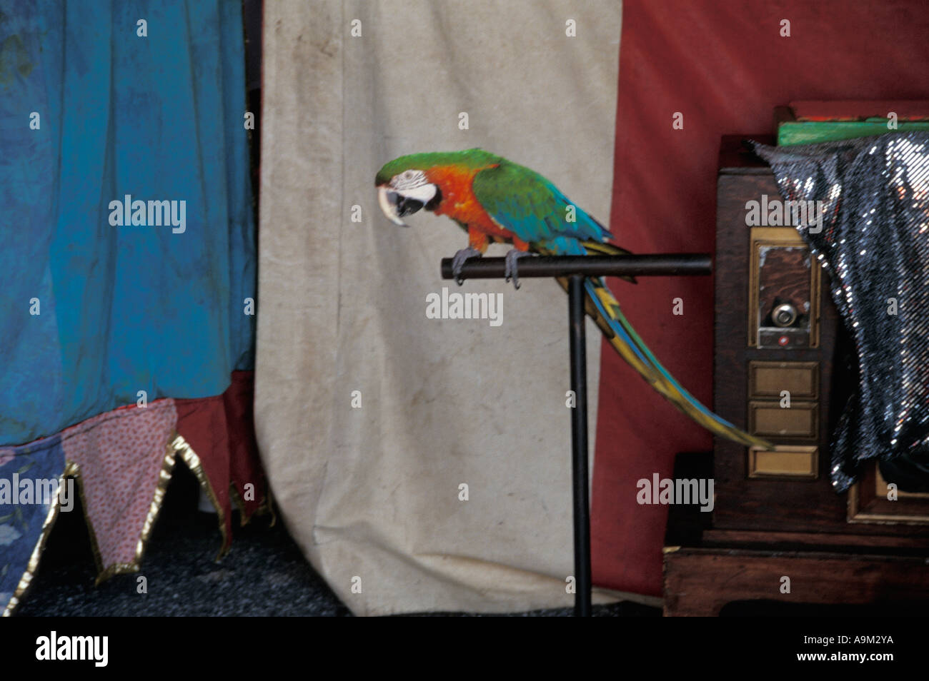 Walker Bros. Brothers Circus Stock Photo Alamy