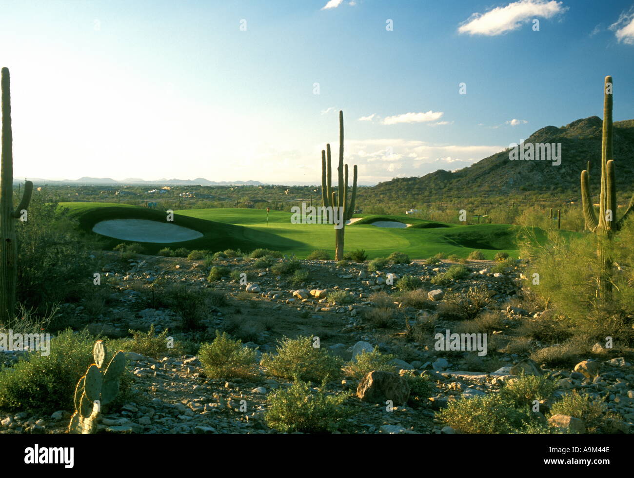 Silverleaf golf course scottsdale arizona hi-res stock photography and  images - Alamy