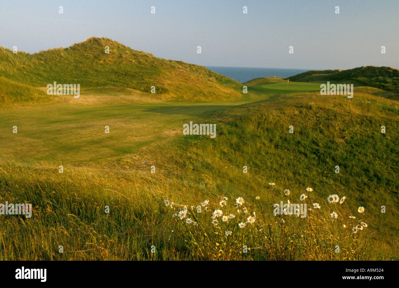 The European Golf Club Brittas Bay Wicklow Ireland 11th Hole Stock Photo -  Alamy