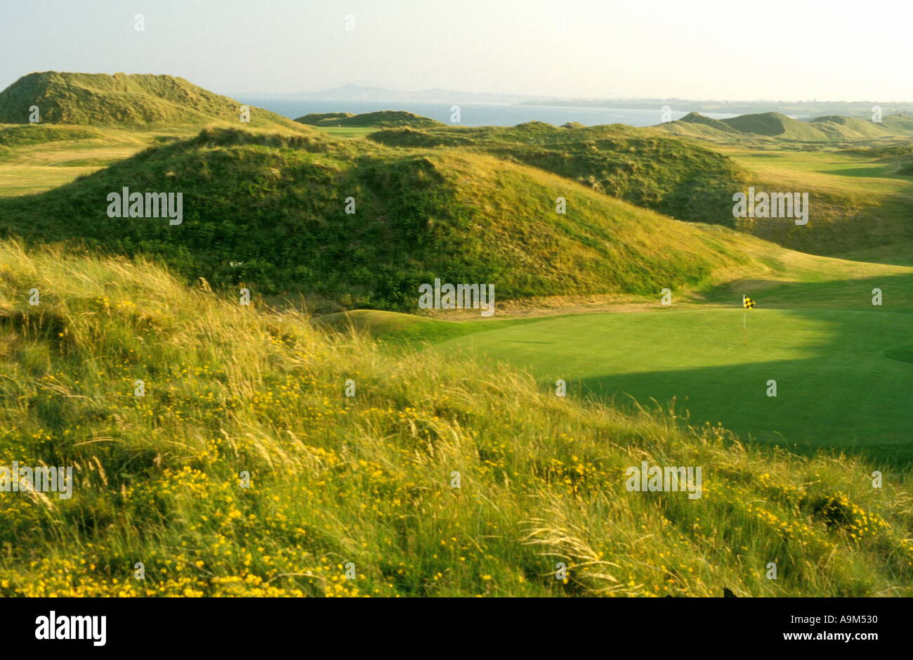 The European Golf Club Brittas Bay Wicklow Ireland 8th Hole Stock Photo -  Alamy