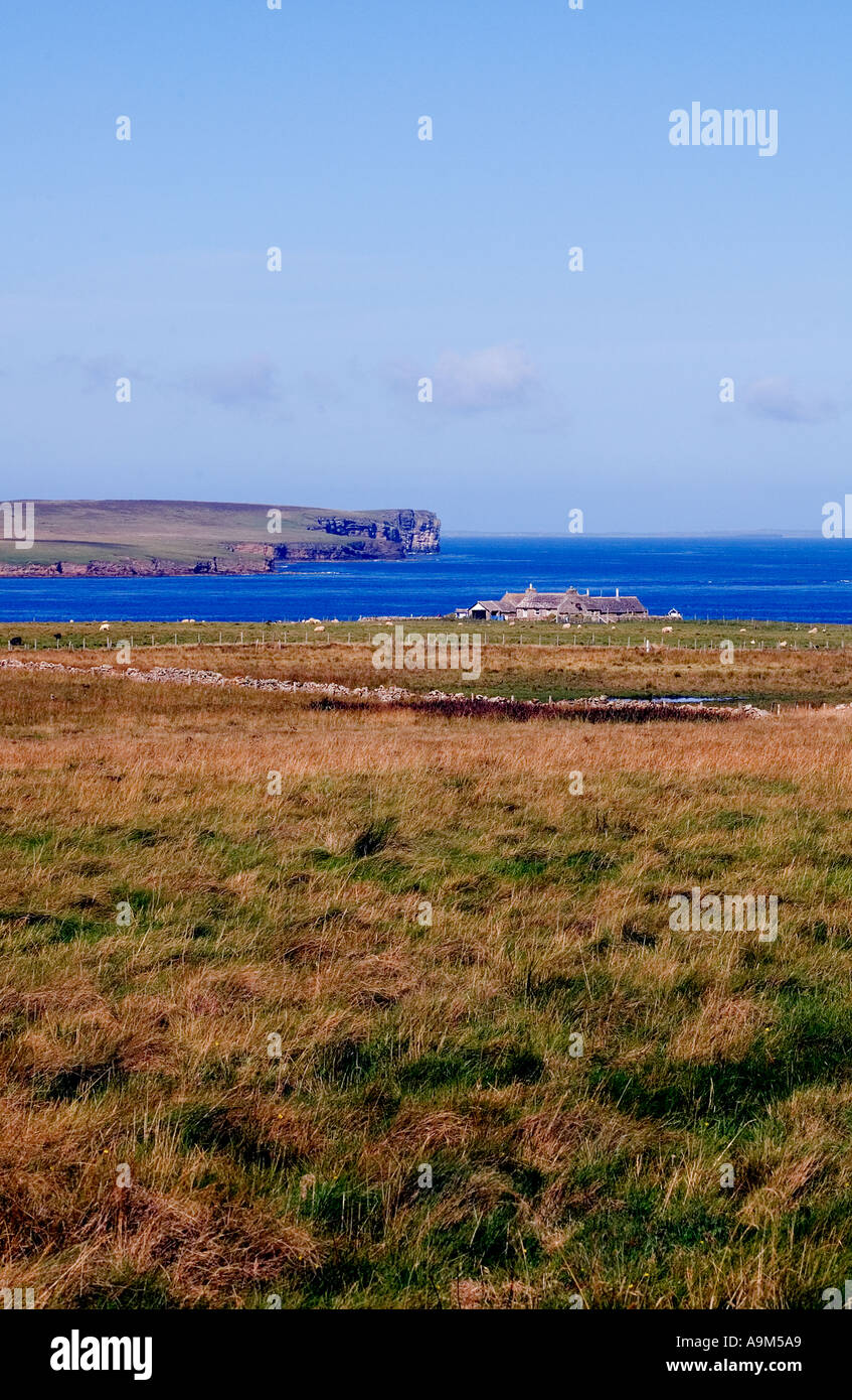 dh Braewick SANDAY ORKNEY Cottage Lashy Sound northern cliffs of Calf of Eday Stock Photo