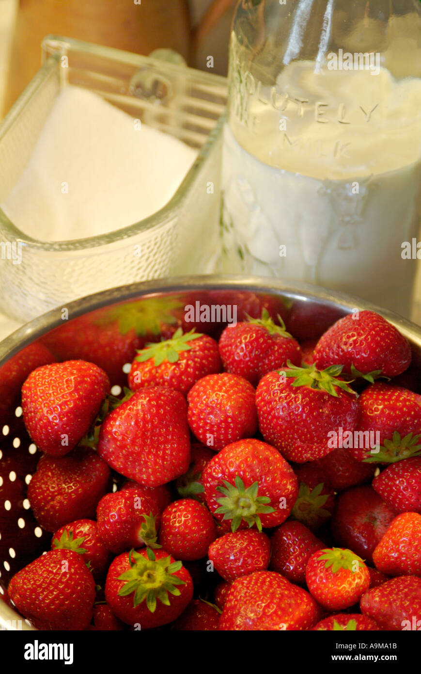 stil life with fresh strawberries sugar and milk Stock Photo