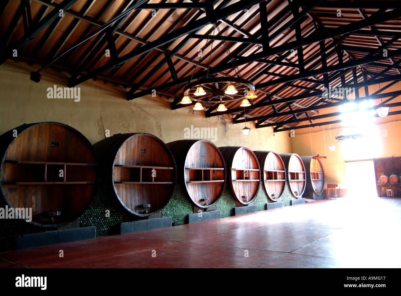 Winery wine barrel storage Mendoza Argentina Stock Photo