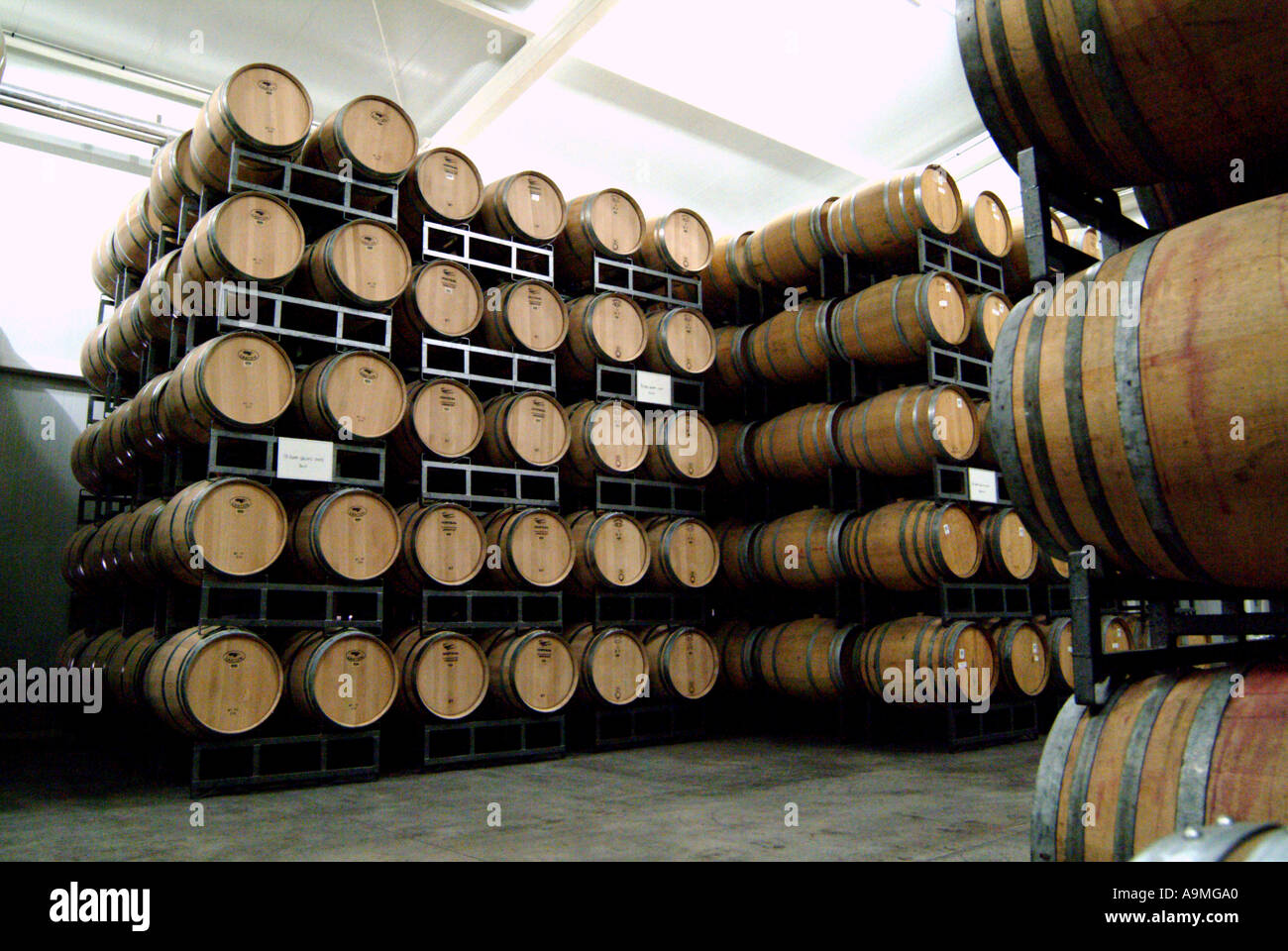 Undurraga Winery wine barrel storage Chile Stock Photo