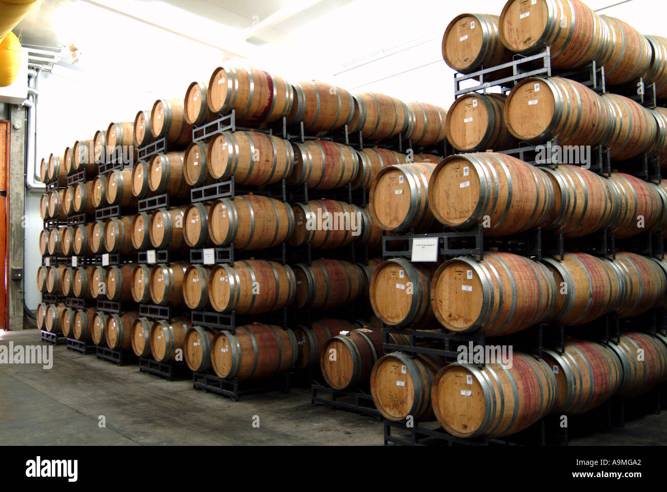 Undurraga Winery wine barrel storage Chile Stock Photo