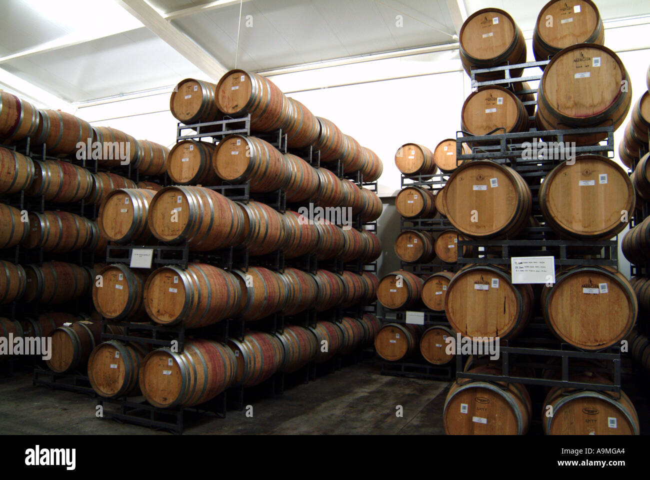 Undurraga Winery wine barrel storage Chile Stock Photo Alamy