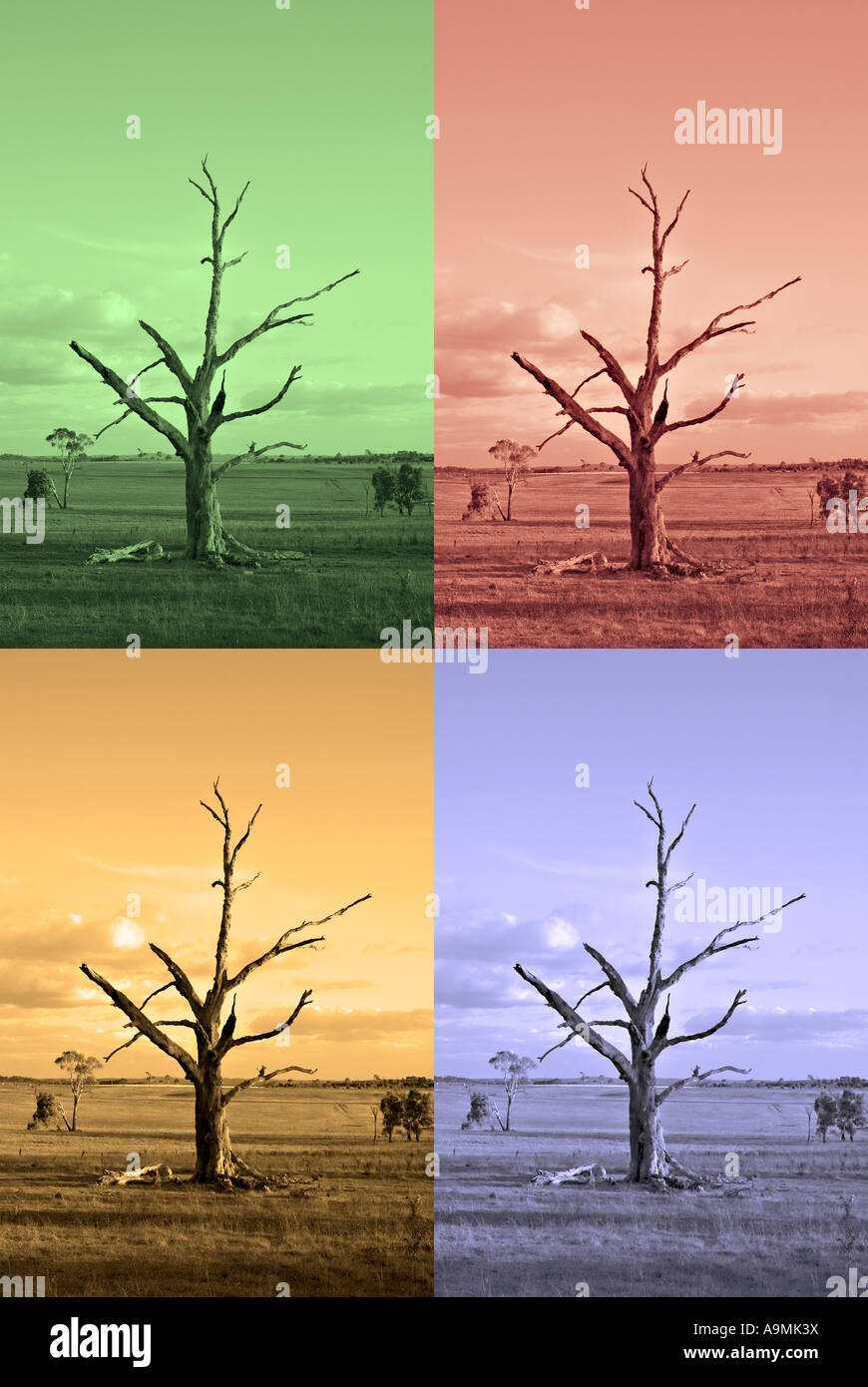 an old farm with dead tree rendered to represent the four seasons Stock
