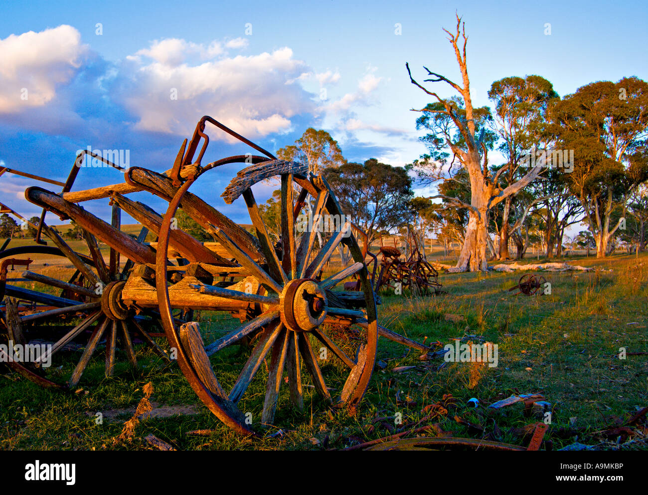 Rot Cart a nice bright image of an old cart left to rot on the farm Stock Photo ...