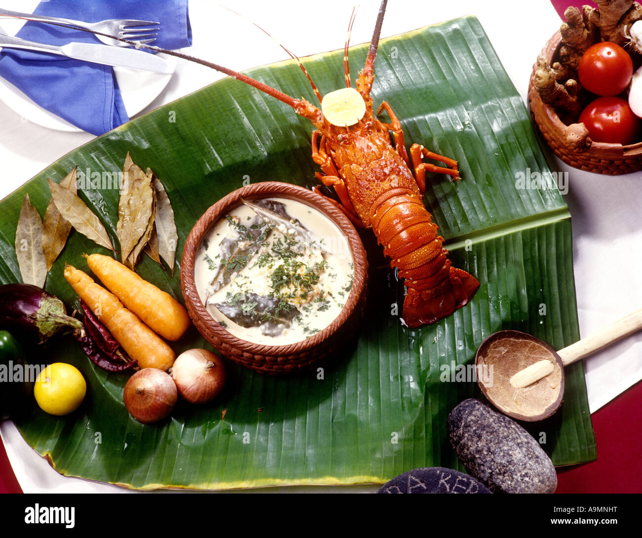 LOBSTER STEW Stock Photo Alamy