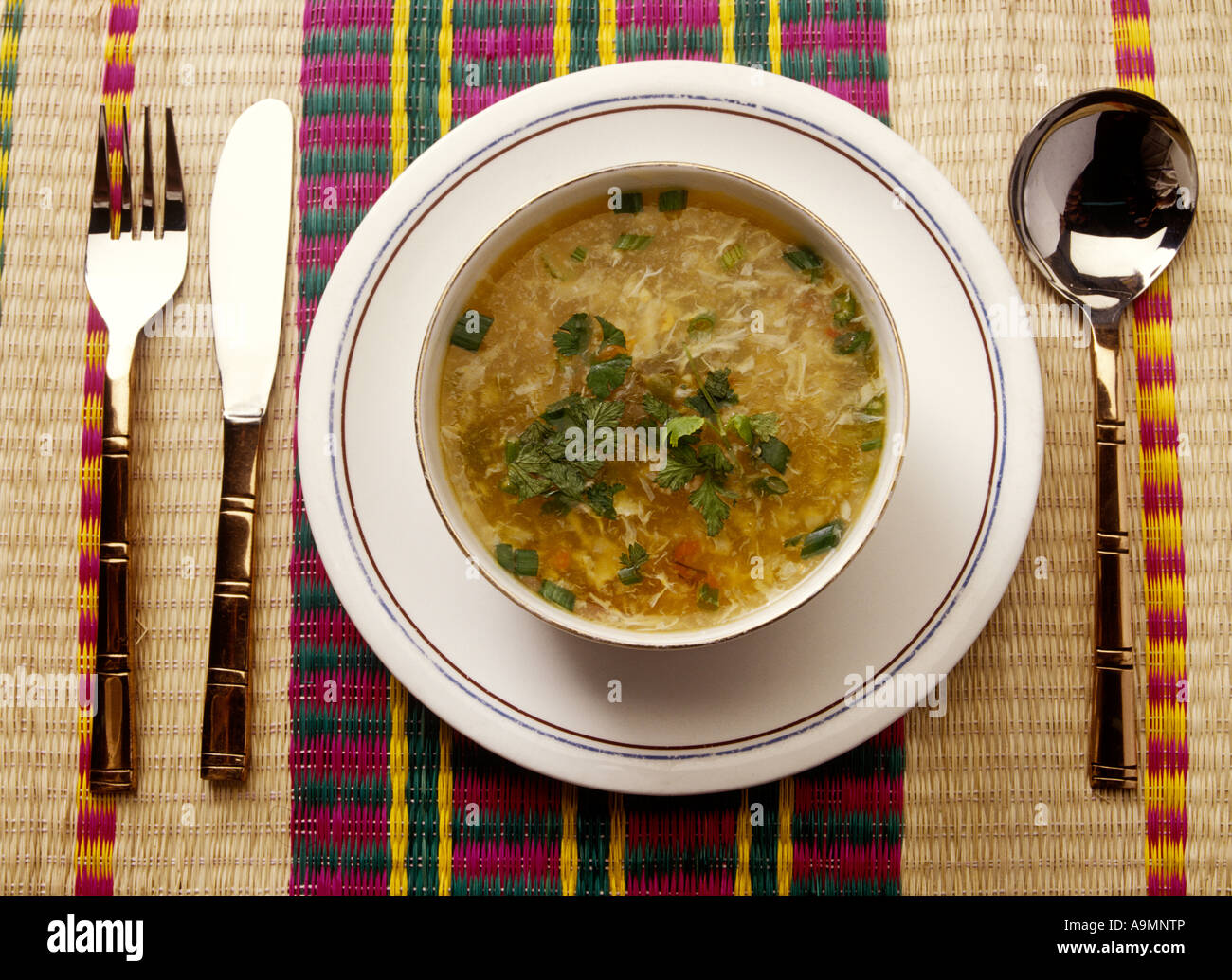 CREAM OF VEGETABLE SOUP Stock Photo - Alamy