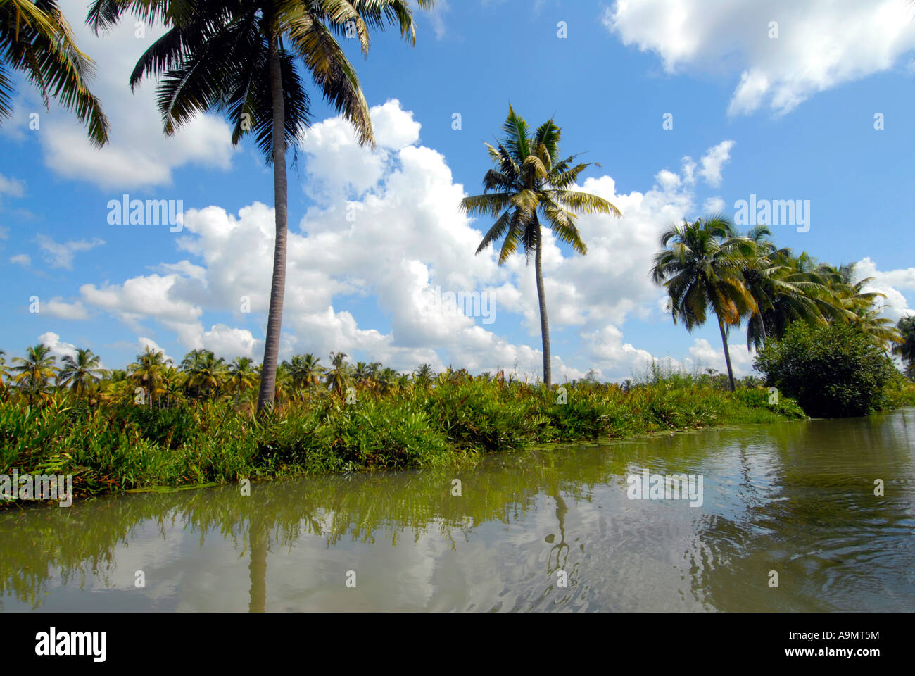 Kerala coconut landscapes hires stock photography and images Alamy