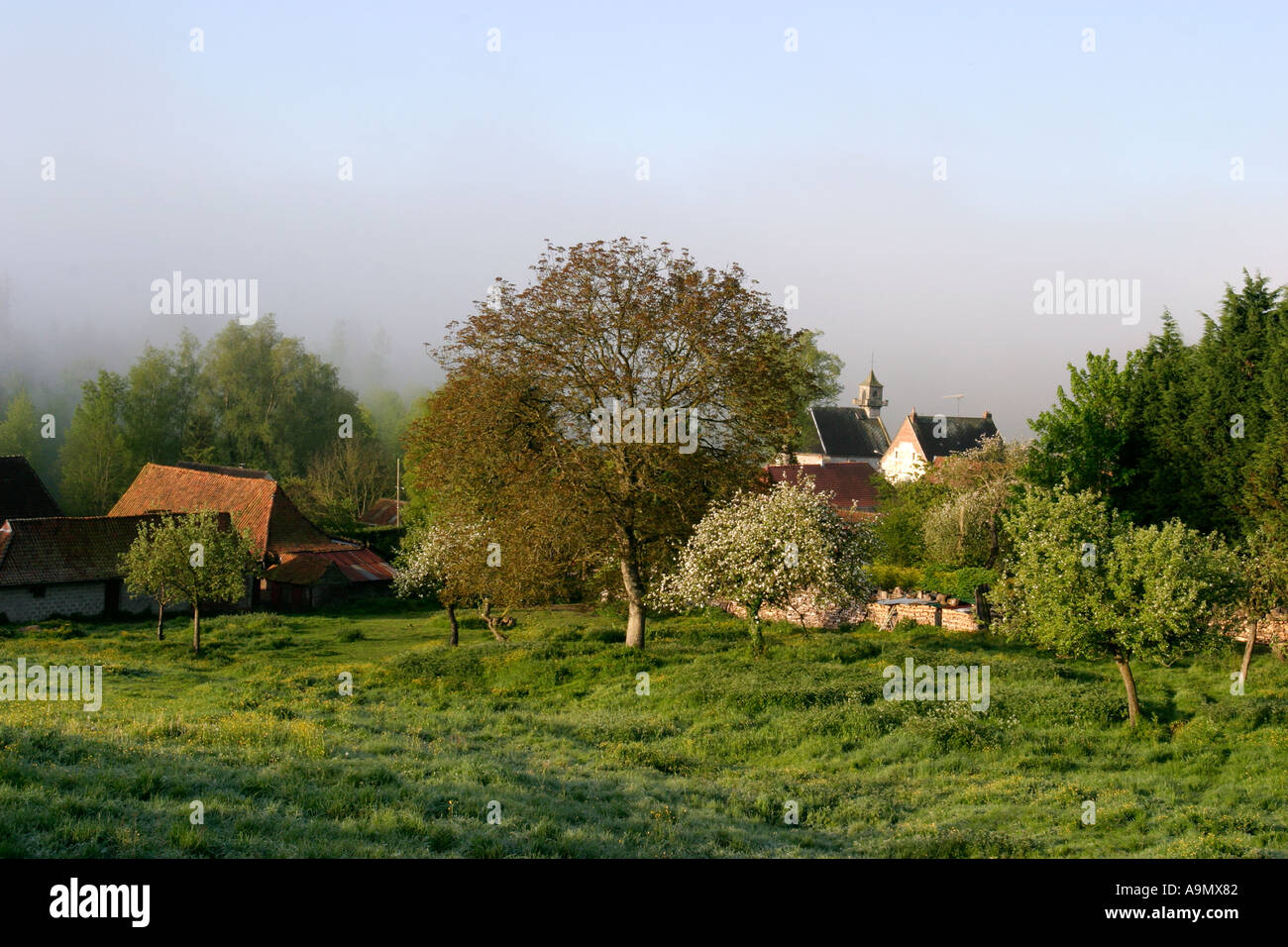 Church and trees on misty May morning Bouret sur Canche Pas de Calais