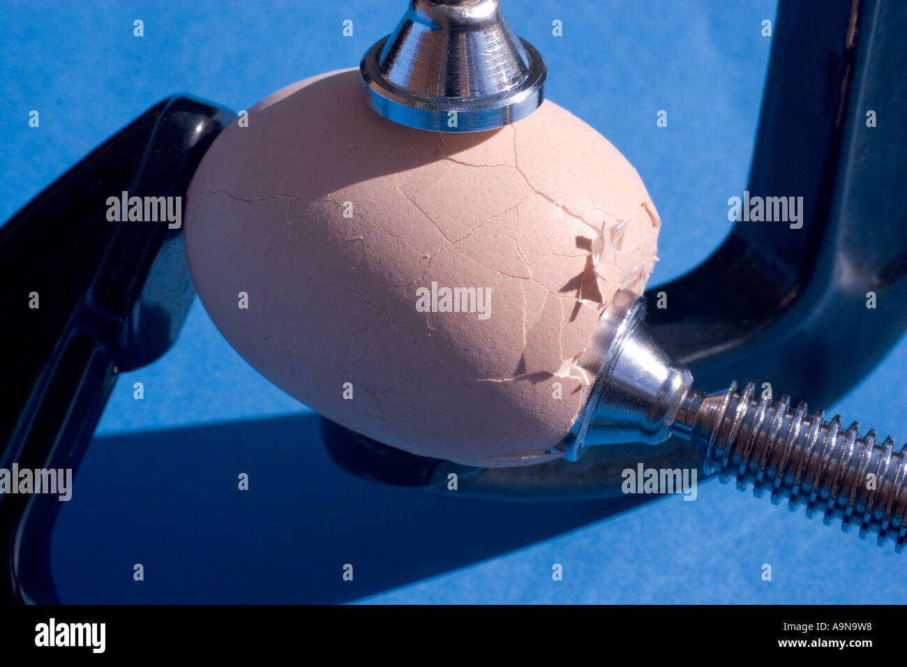 Pressure crush broken egg being crushed with clamps Stock Photo Alamy