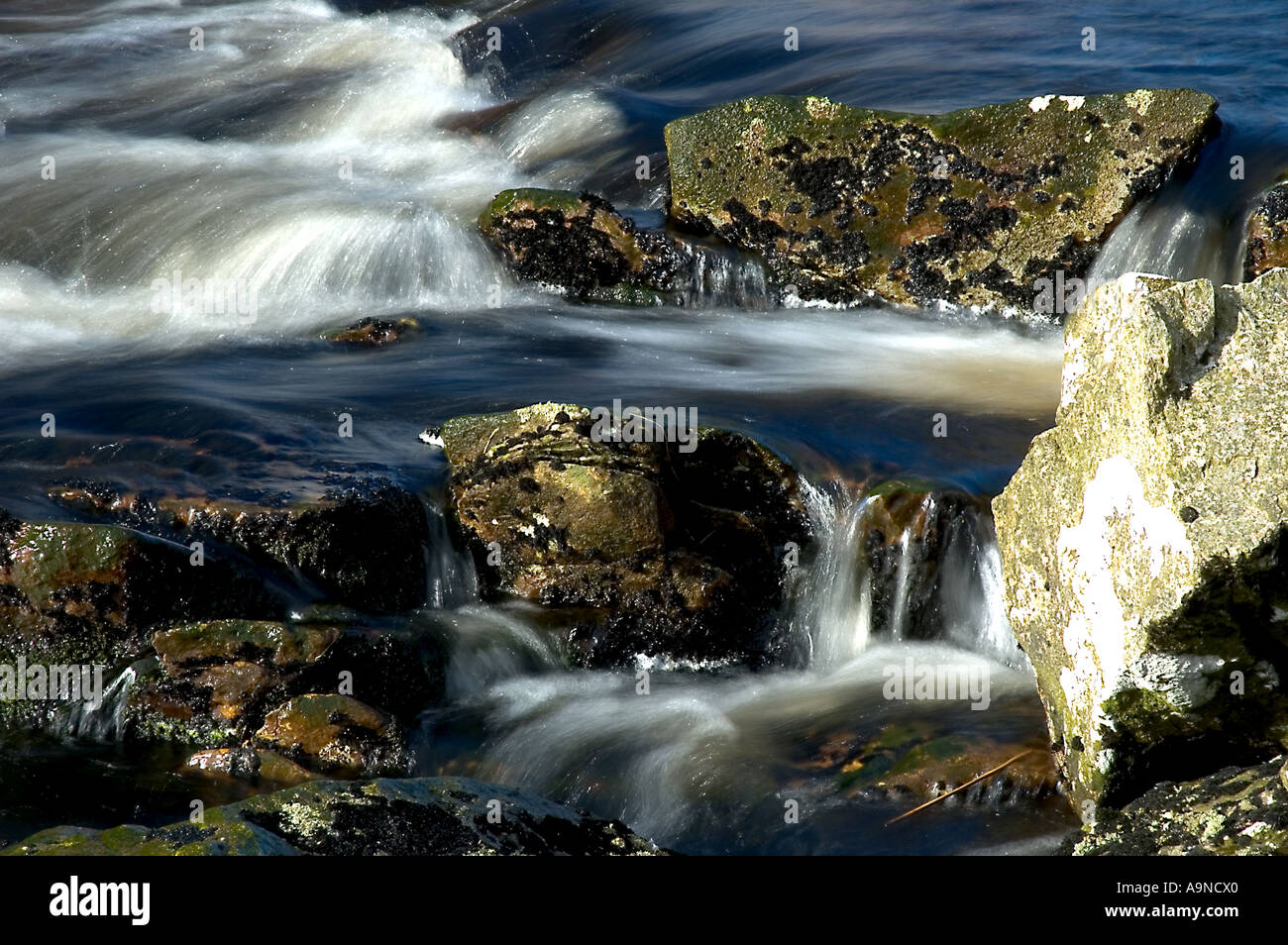 Small wet rocks hi-res stock photography and images - Alamy