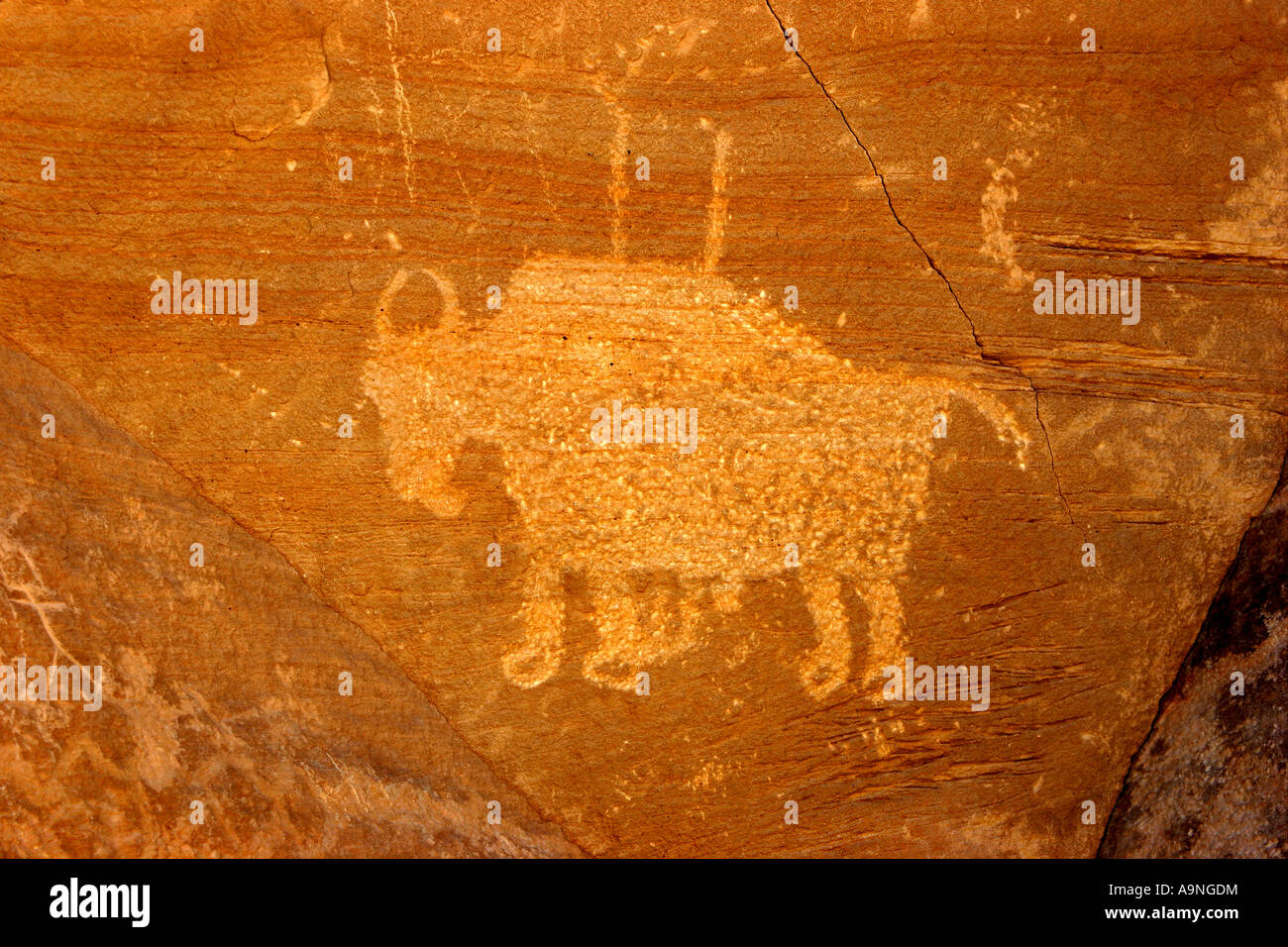 bison petroglyph, nine mile canyon, utah Stock Photo