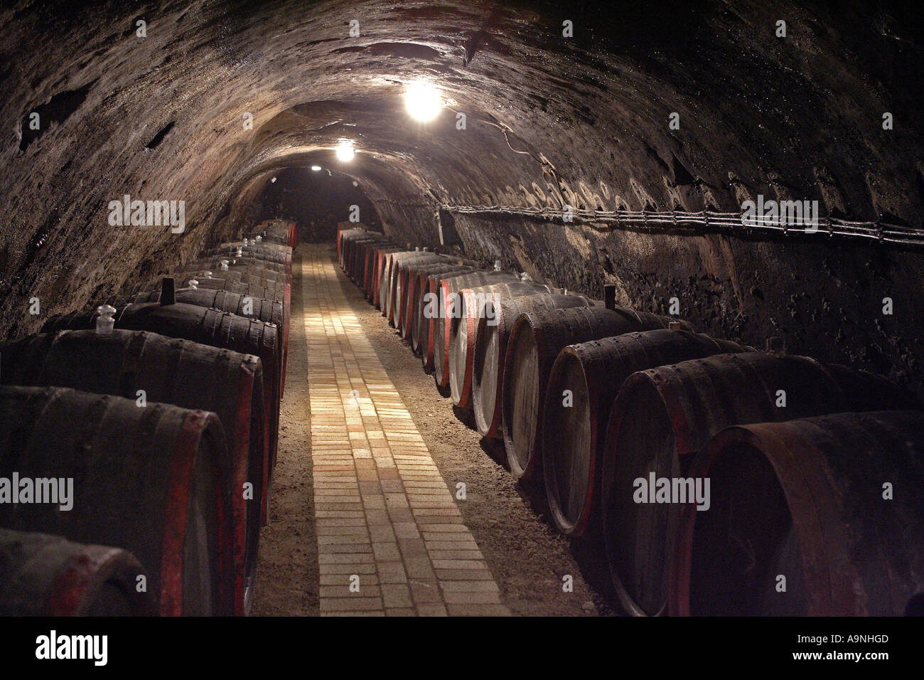 The Chateau Dereszla winery: the underground cellar. An empty tunnel, newly  renovated soon to be filled with barrels of Tokaji wine Stock Photo - Alamy