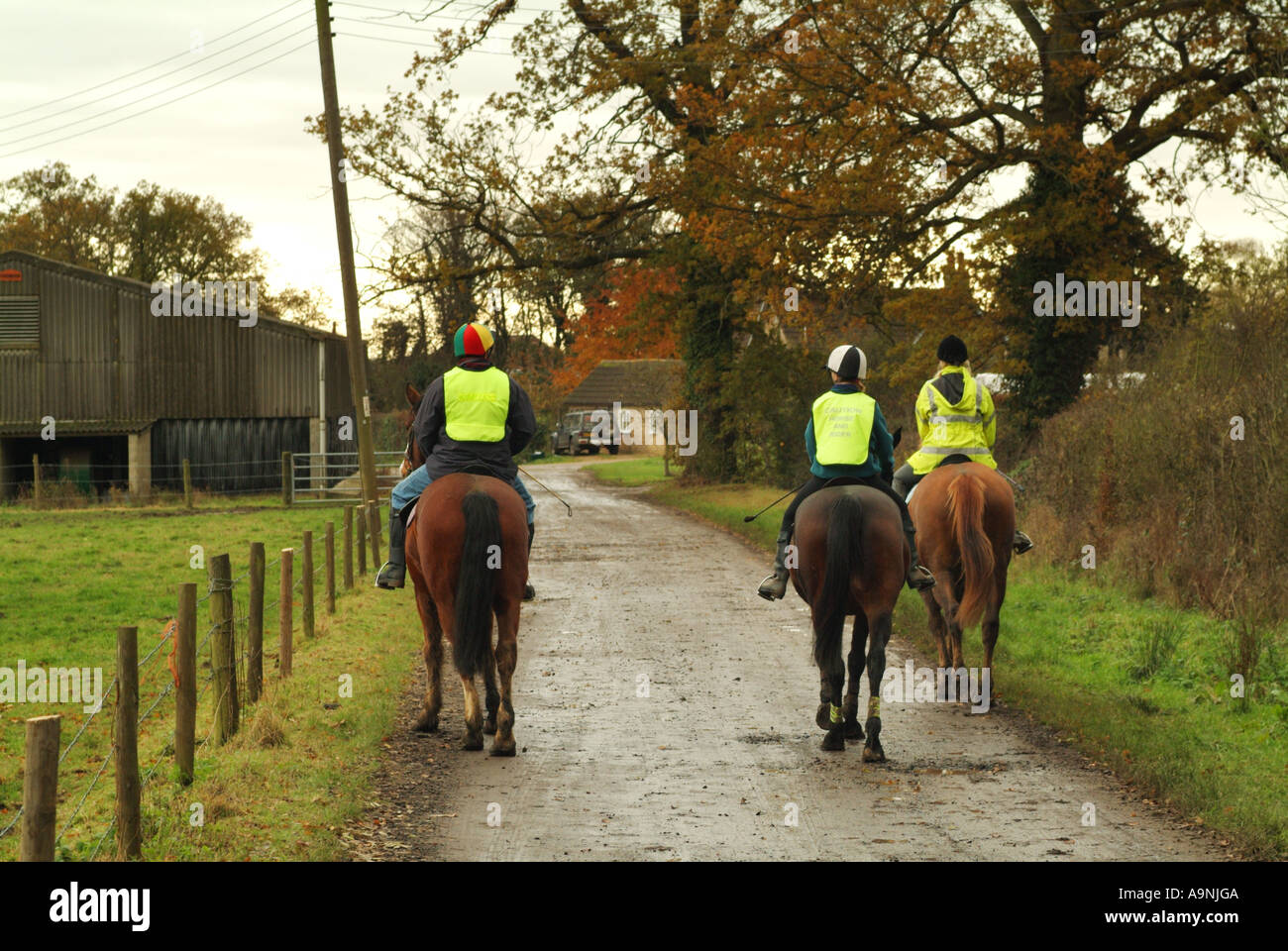 Horse riders on a country lane in Hertfordshire Stock Photo