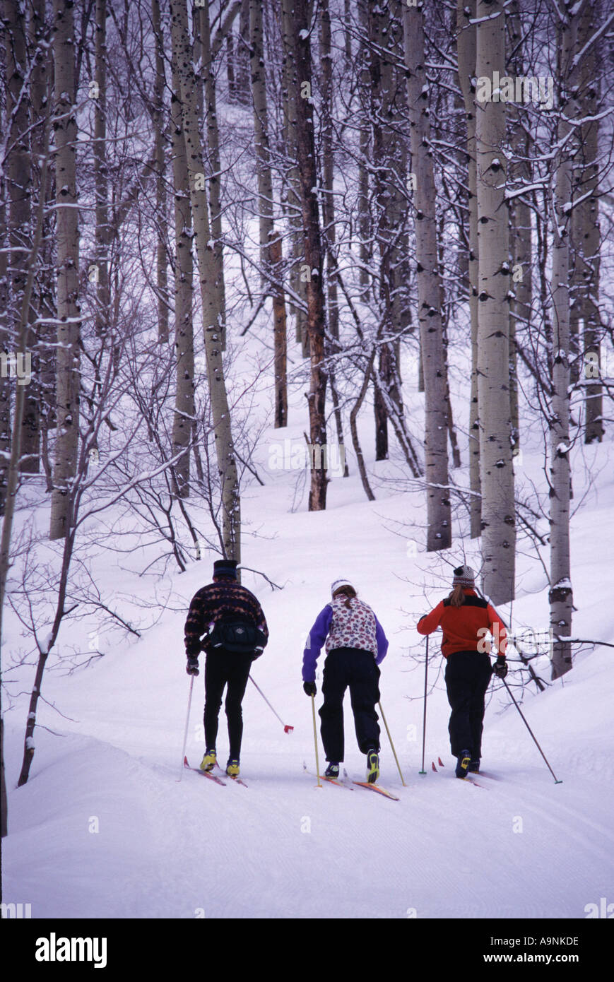 A group cross country skiing at Sundance UT Stock Photo