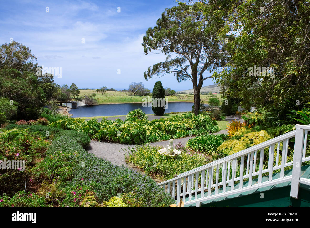 Image of the garden setting including lake and white staircase outside of the Parker Ranch House in Waimea Hawaii Stock Photo