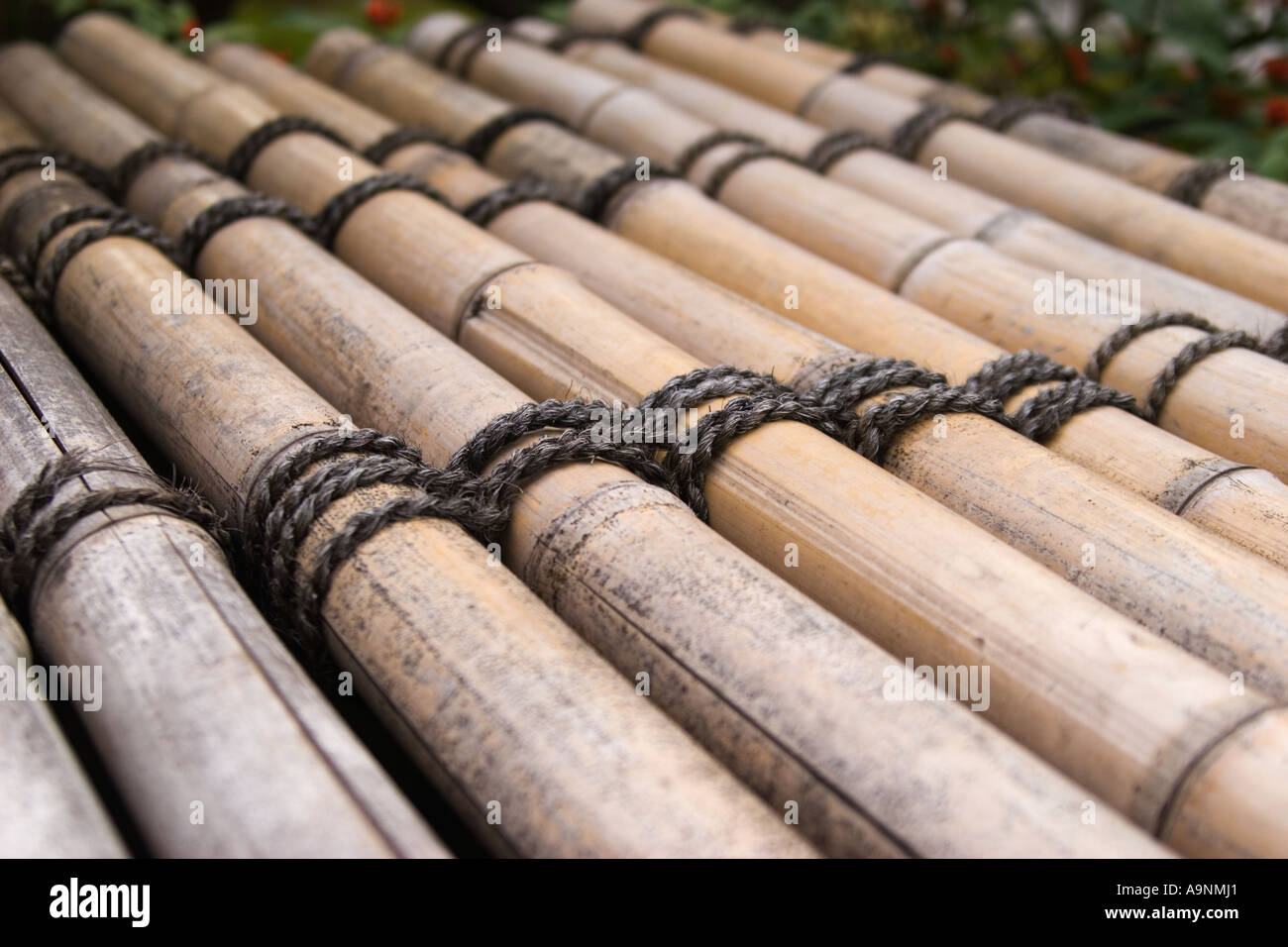 Bamboo detail Zuiho in garden which is a subtemple of Daitokuji Temple in Kyoto Kansai Region Japan Stock Photo