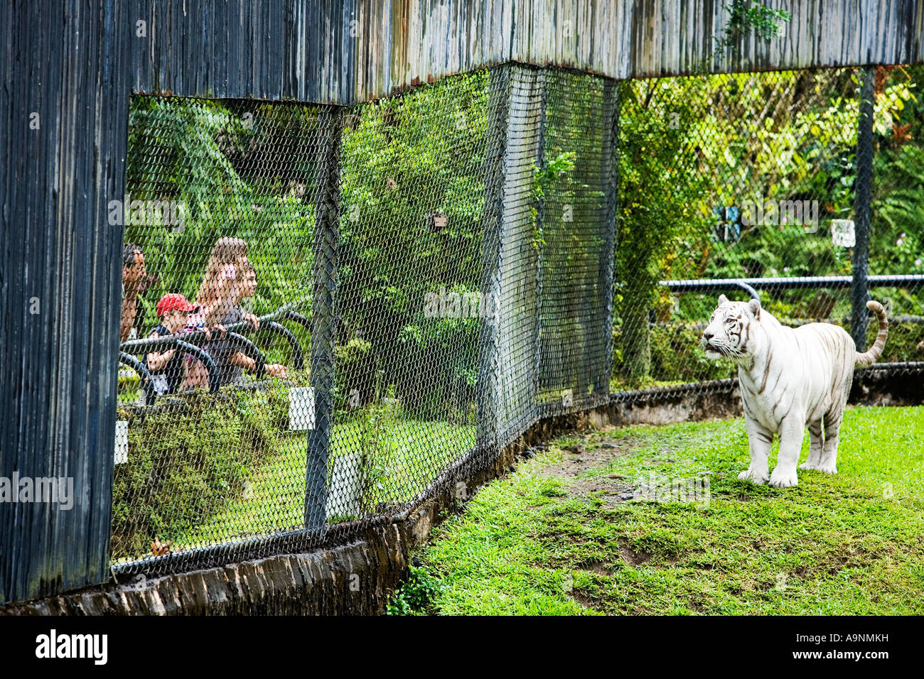 Hilo Zoo High Resolution Stock Photography and Images - Alamy