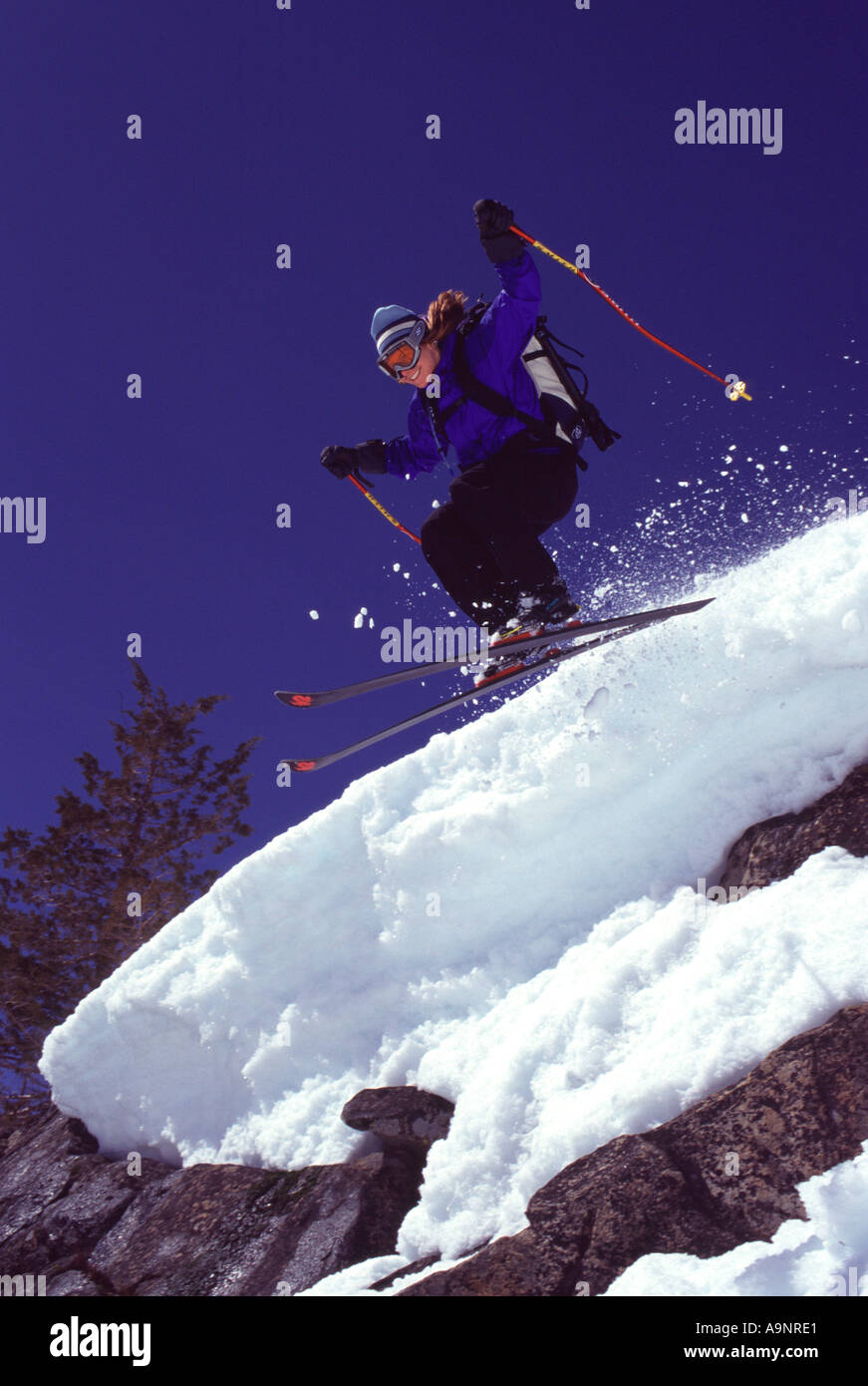 Telemark ski woman hires stock photography and images Alamy