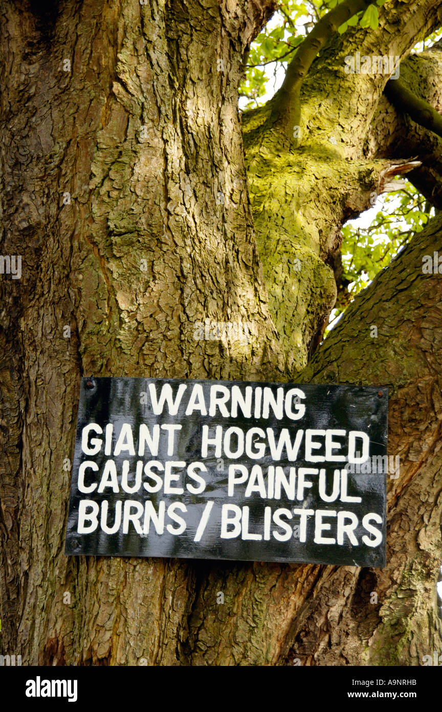 Giant hogweed warning sign hi-res stock photography and images - Alamy