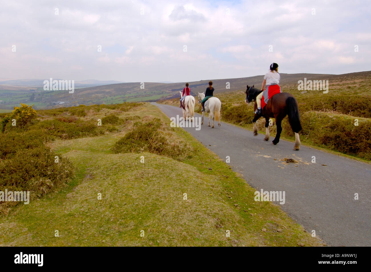 Three young girls pony trekking along a quiet country road on Dartmoor