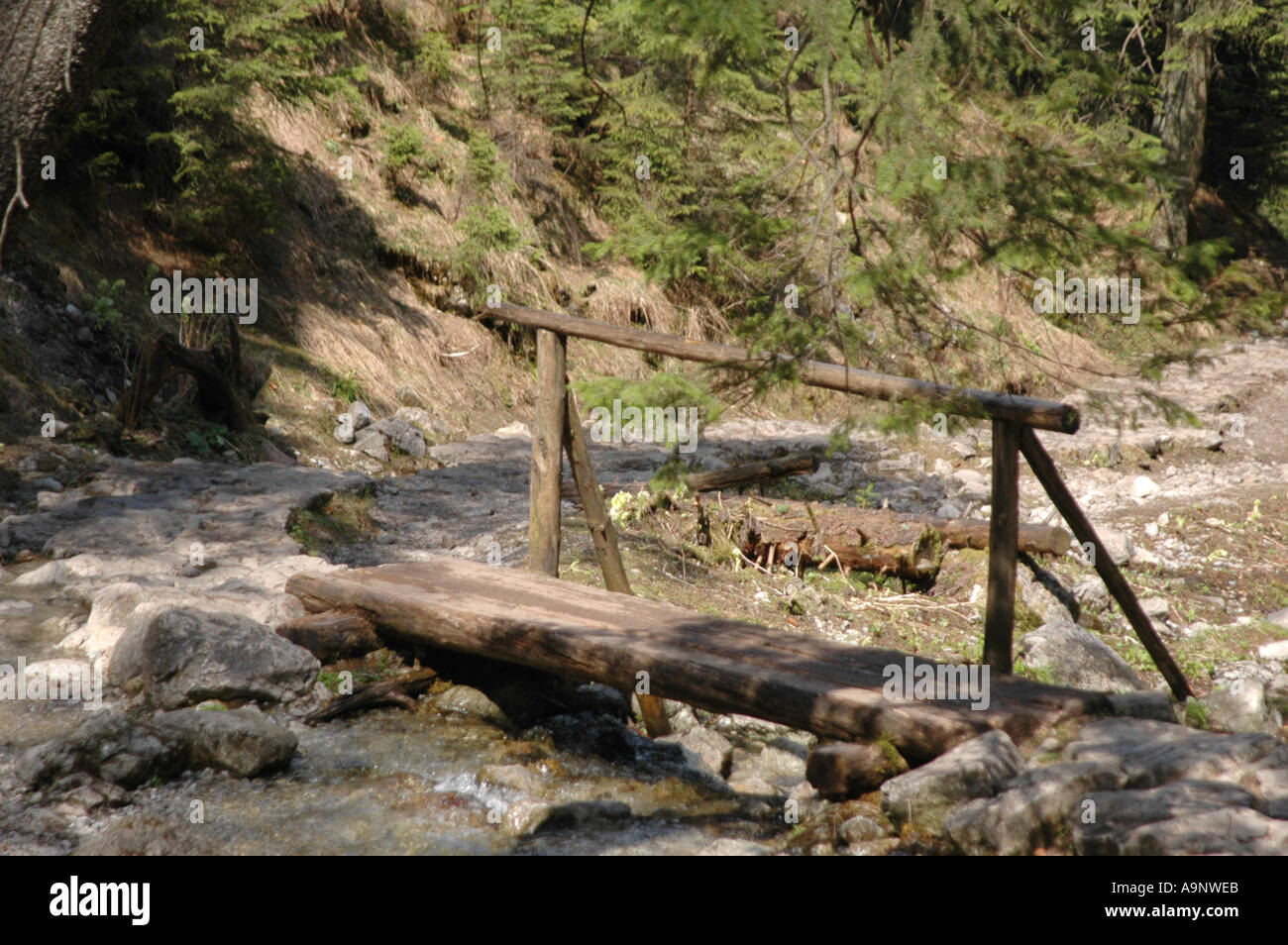 Small wooden bridge over creek hi-res stock photography and images - Alamy