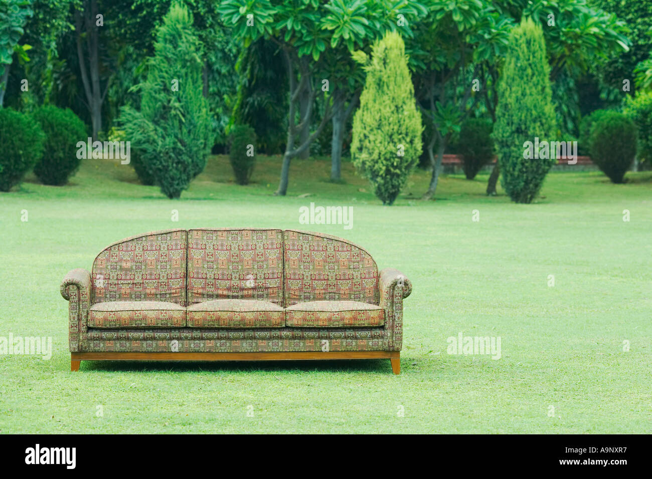 How To Identify Couch Grass - Wide Bay Turf - View #9